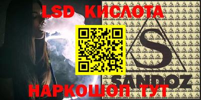 альфа пвп Новодвинск