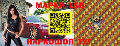 альфа пвп Новодвинск