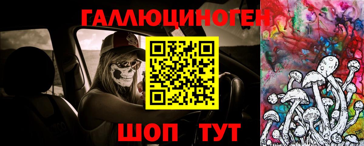 Тавда  Псилоцибиновые грибы Cubensis  Вход с VPN 